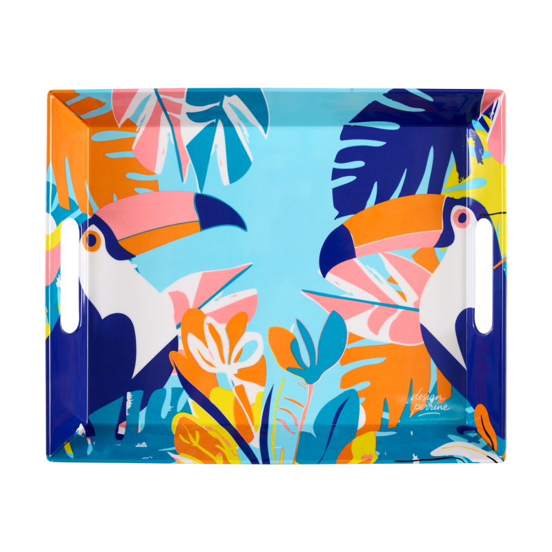 Plateau Toucan