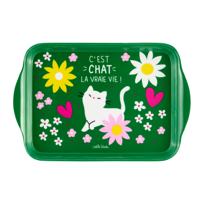 Plateau C'est chat la vraie vie