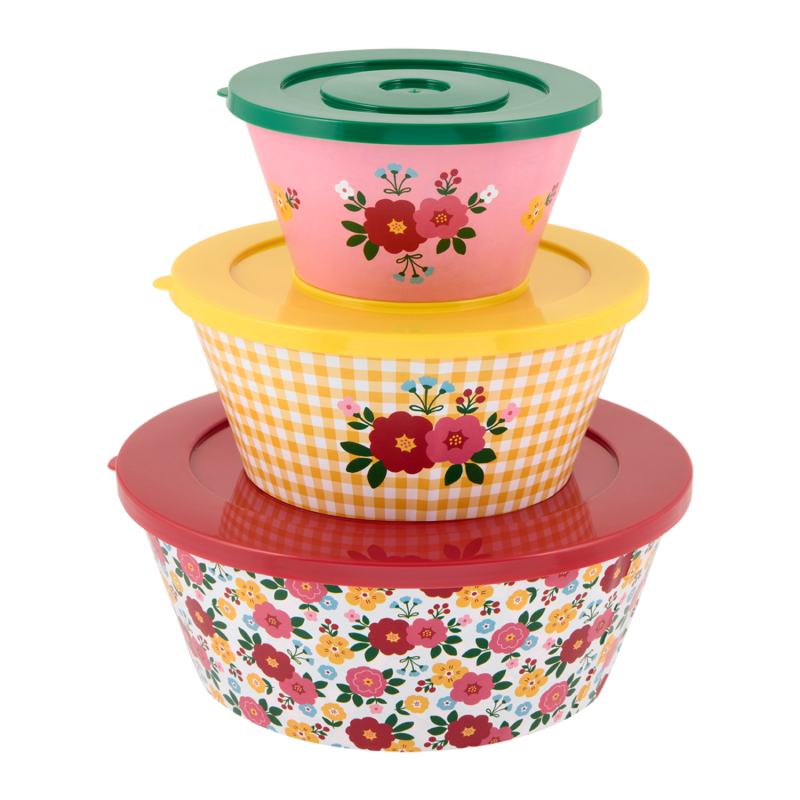 Saladier (set de 3 + couvercles) Bouquet de roses