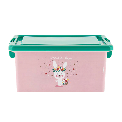 Boîtes plastique Boîte Amour de lapin D005-P090185