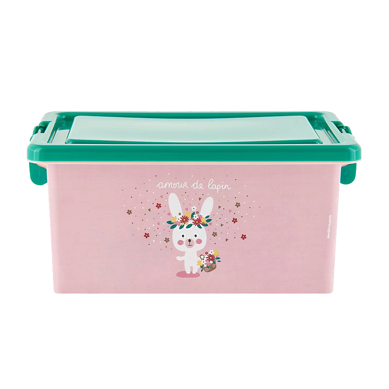 Boîtes plastique Boîte Amour de lapin D005-P090185