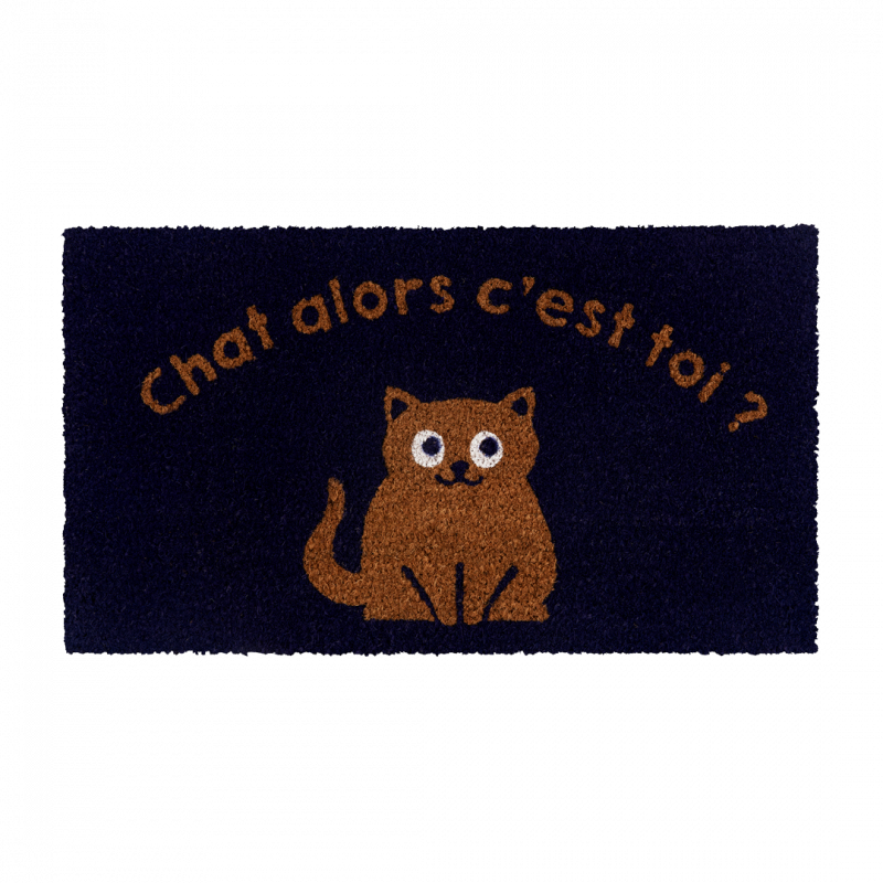 Paillassons Paillasson Chat alors A034-C051990-AB-54