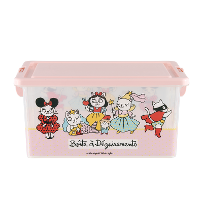 Boîtes plastique Boite Déguisement fille D005-P090205-AD-089