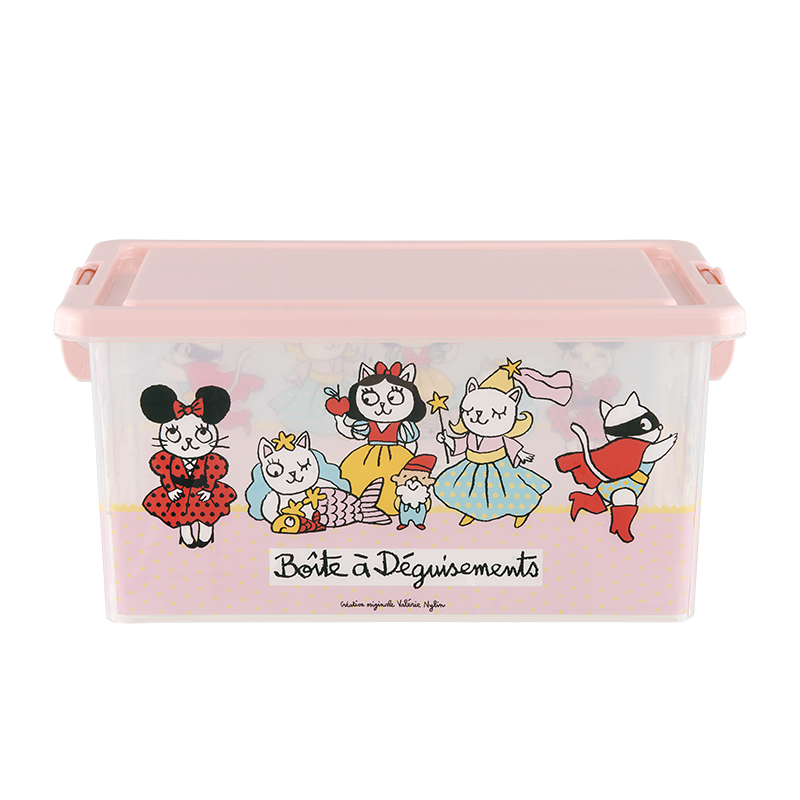 Boîtes plastique Boite Déguisement fille D005-P090205-AD-089