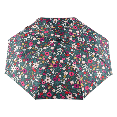 Parapluie Parapluie Folk D040-P020025