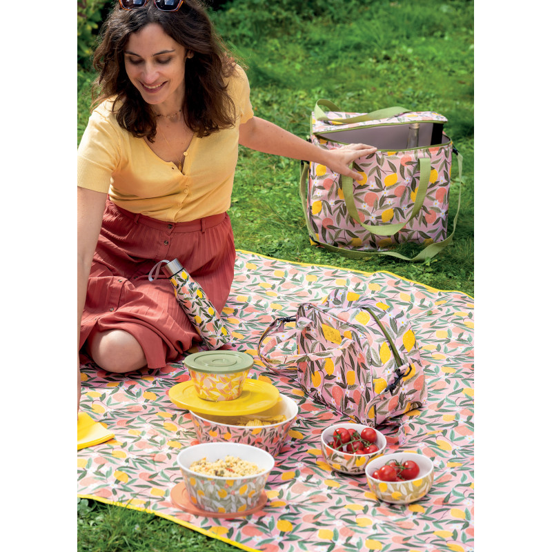 Kit d'accessoires de cuisine Porte-éponge Agrumes P081-M010210