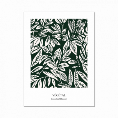 Affiche vegetal