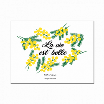 Affiche mimosas