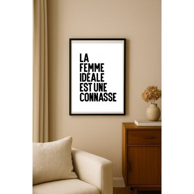 Affiche la femme ideale est une connasse