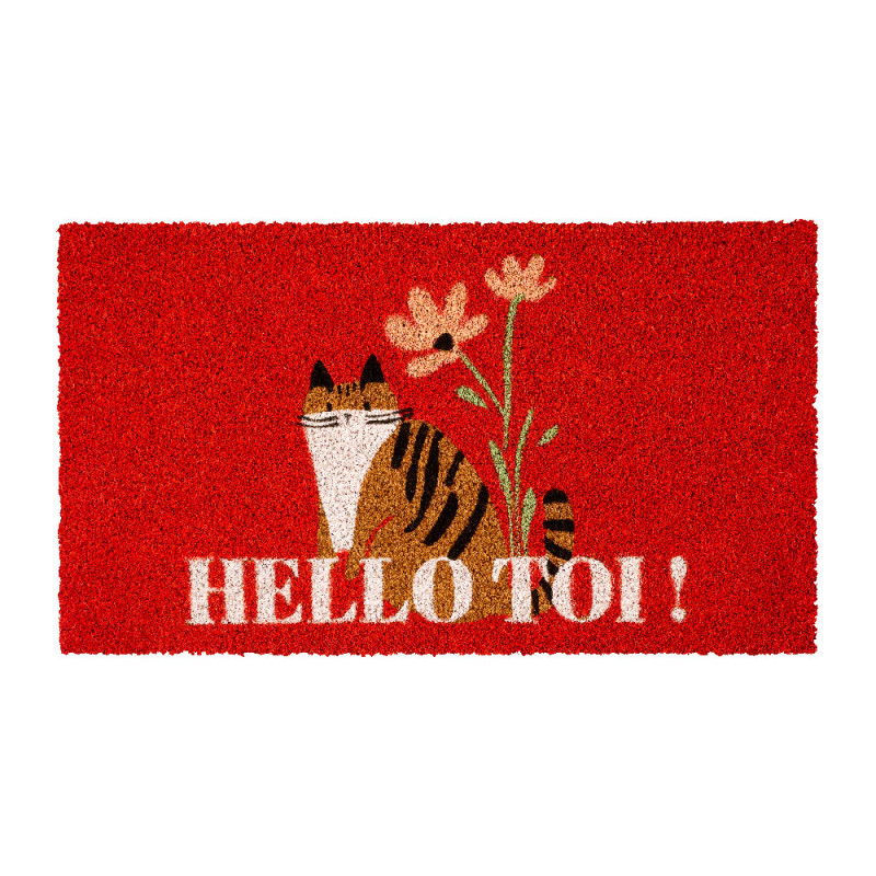Paillasson Hello toi!
