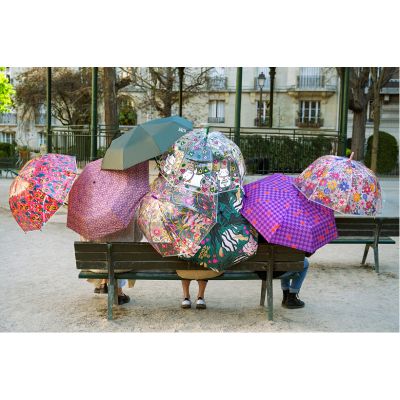 Parapluie Wild