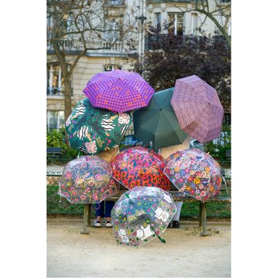 Parapluie Wild
