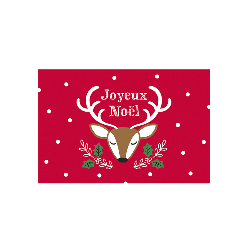 Idées Cadeaux Carte double (+ enveloppe) Joyeux noël renne des neiges P100-P230280-BISOL-17